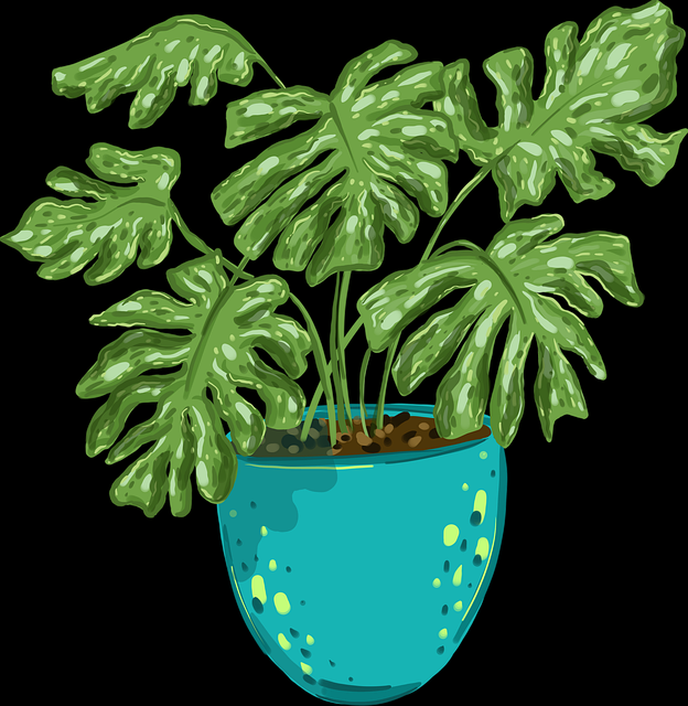 暗网禁地入口核心板块曝光｜黑产流量入口走查引发安全警示