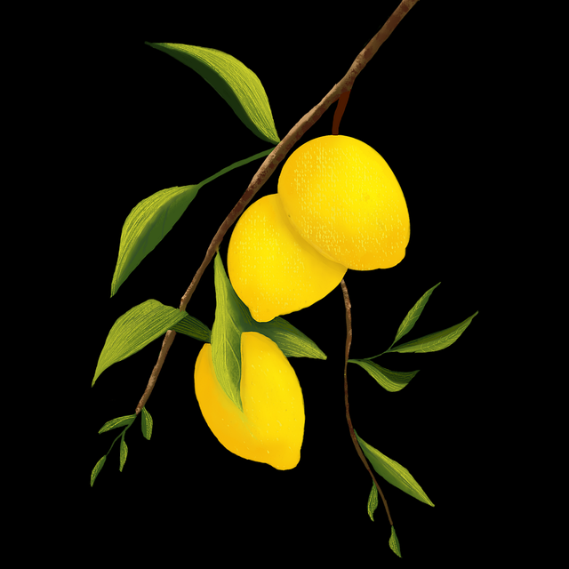 p站官方官网导航系统大改版｜内容审核透明度研究功能流转方式公布